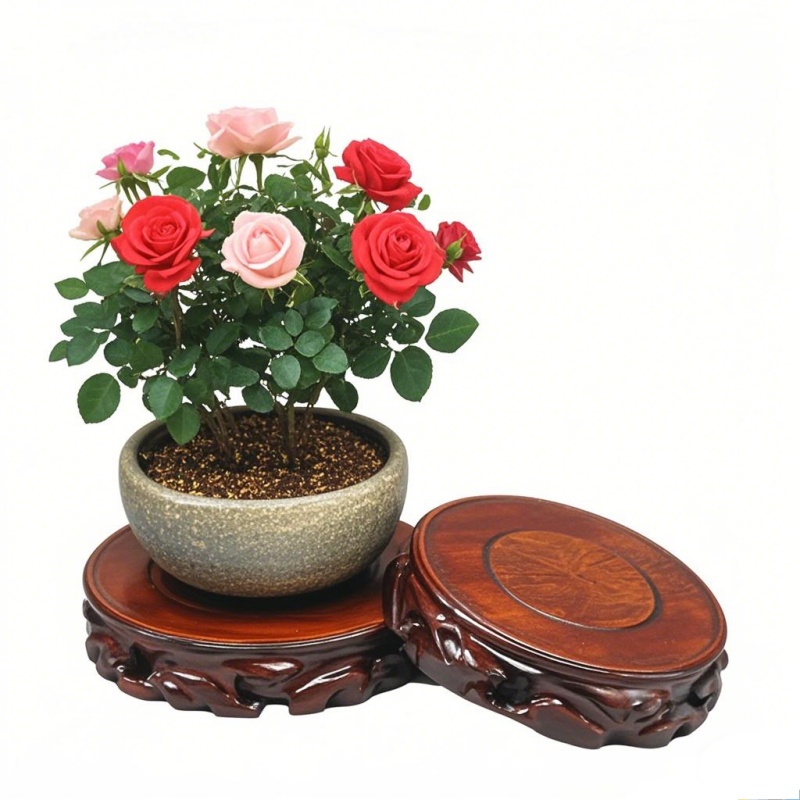 Wooden Plant Saucer & Flower P - Coffee Tea Gardens ulasan dan harga